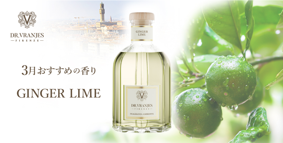 今月のキャンペーン