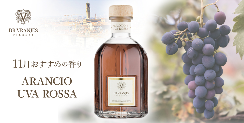 今月のキャンペーン