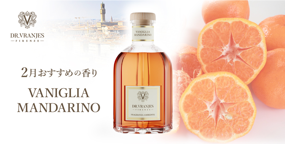 今月のキャンペーン